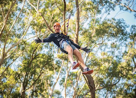 treetops gosford|Adventure Activities & Great Things To Do